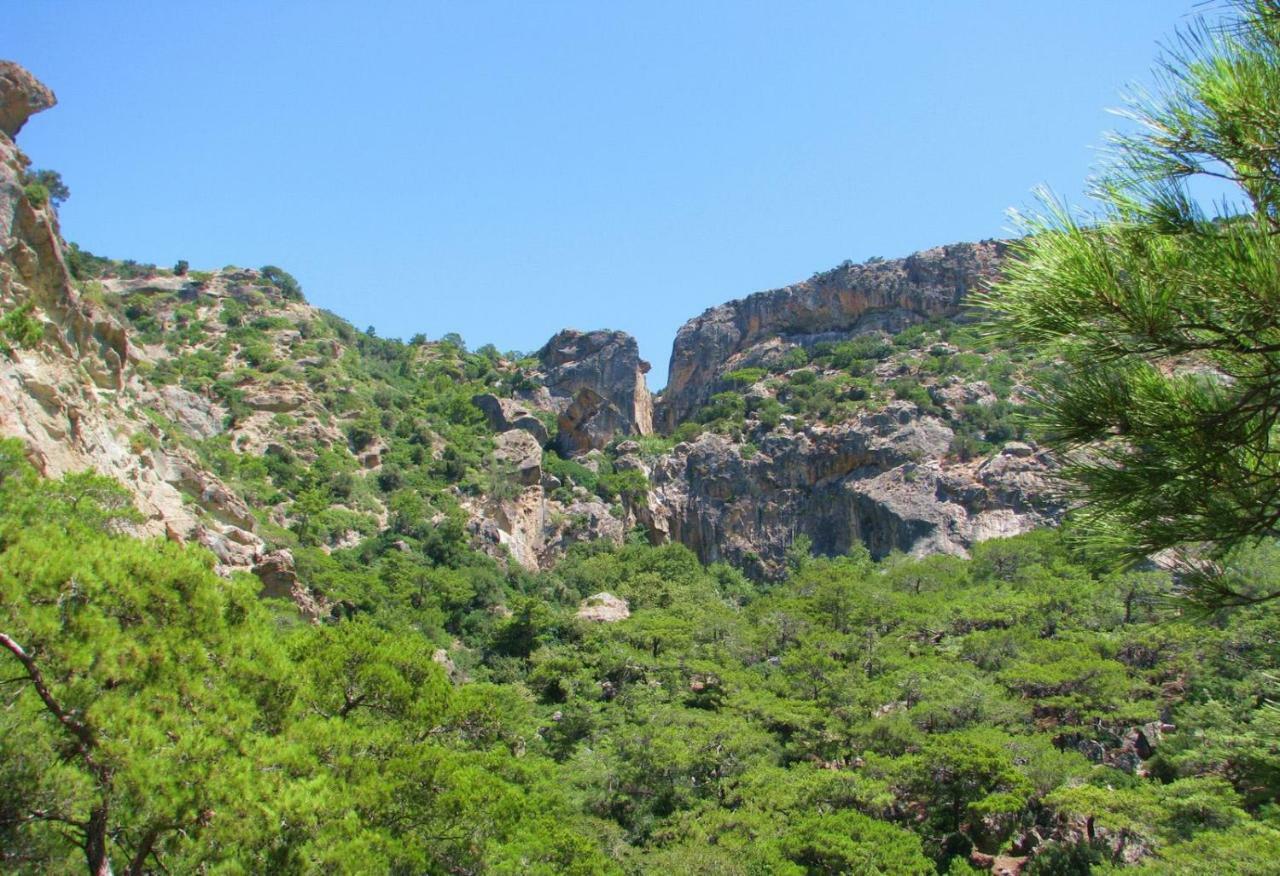 Villa Kalliopi كوتْسوناري المظهر الخارجي الصورة