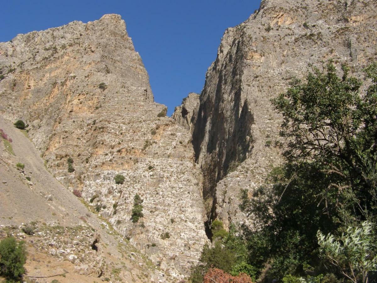 Villa Kalliopi كوتْسوناري المظهر الخارجي الصورة