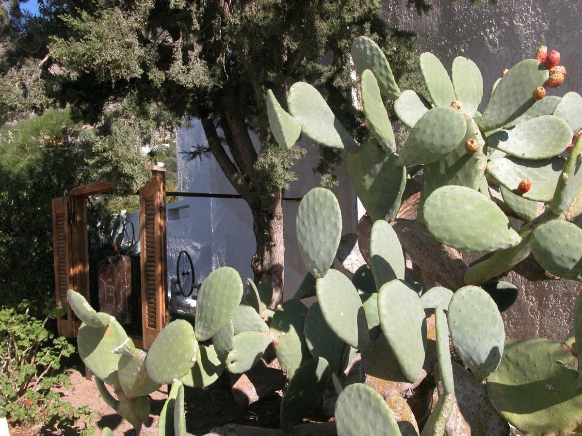 Villa Kalliopi كوتْسوناري المظهر الخارجي الصورة