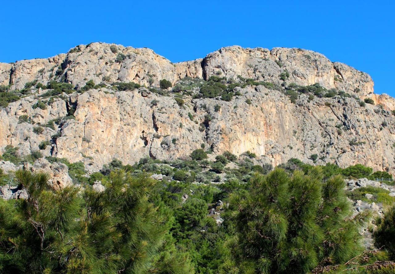 Villa Kalliopi كوتْسوناري المظهر الخارجي الصورة